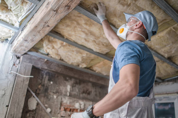 Types of Insulation We Offer in Kilmarnock, VA