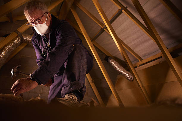Trusted Kilmarnock, VA Insulation Contractor Experts